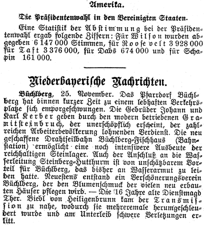 Artikel aus der „Donau-Zeitung“ vom 29. 11. 1912